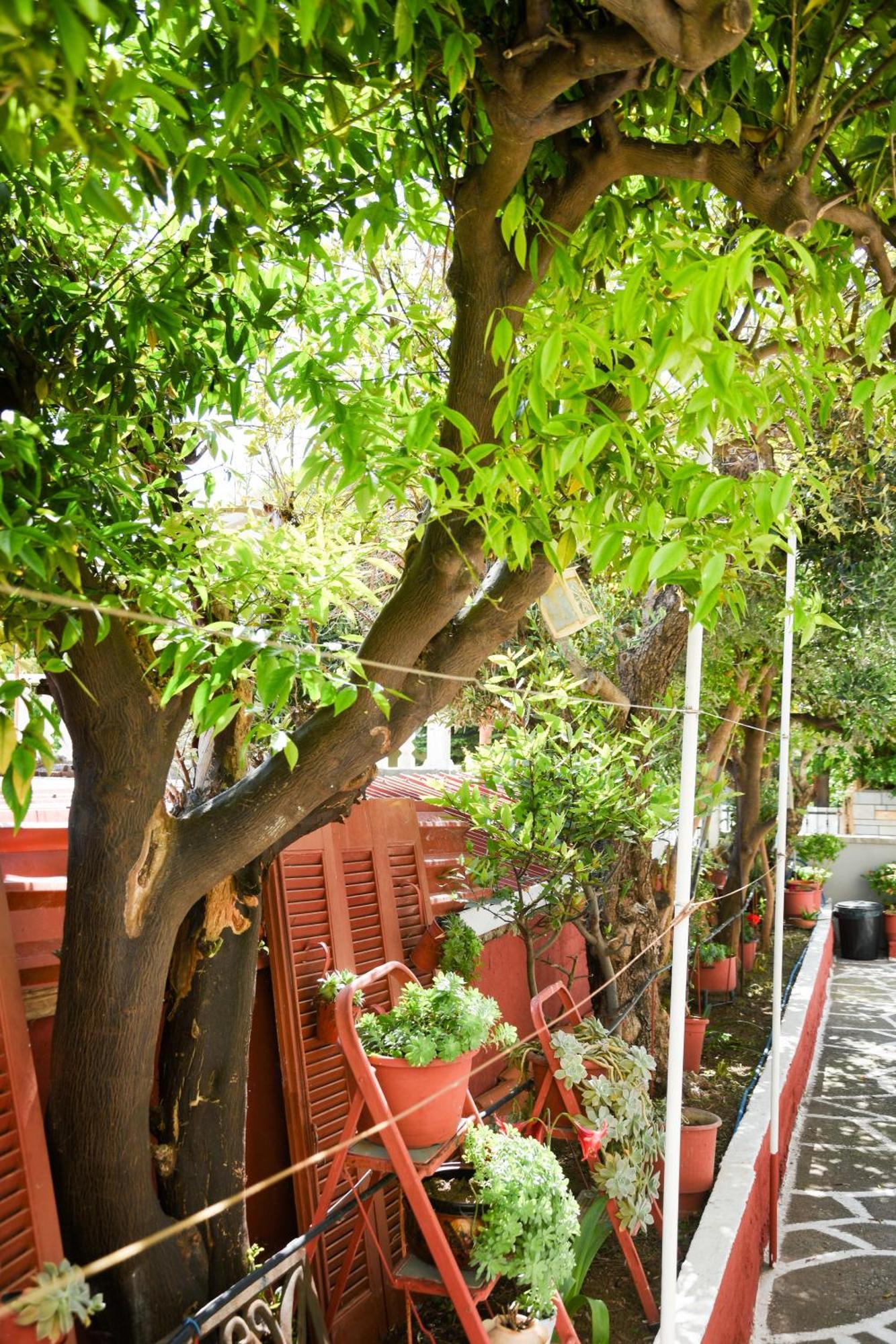 Rent House Daphne Appartement Kavala Buitenkant foto