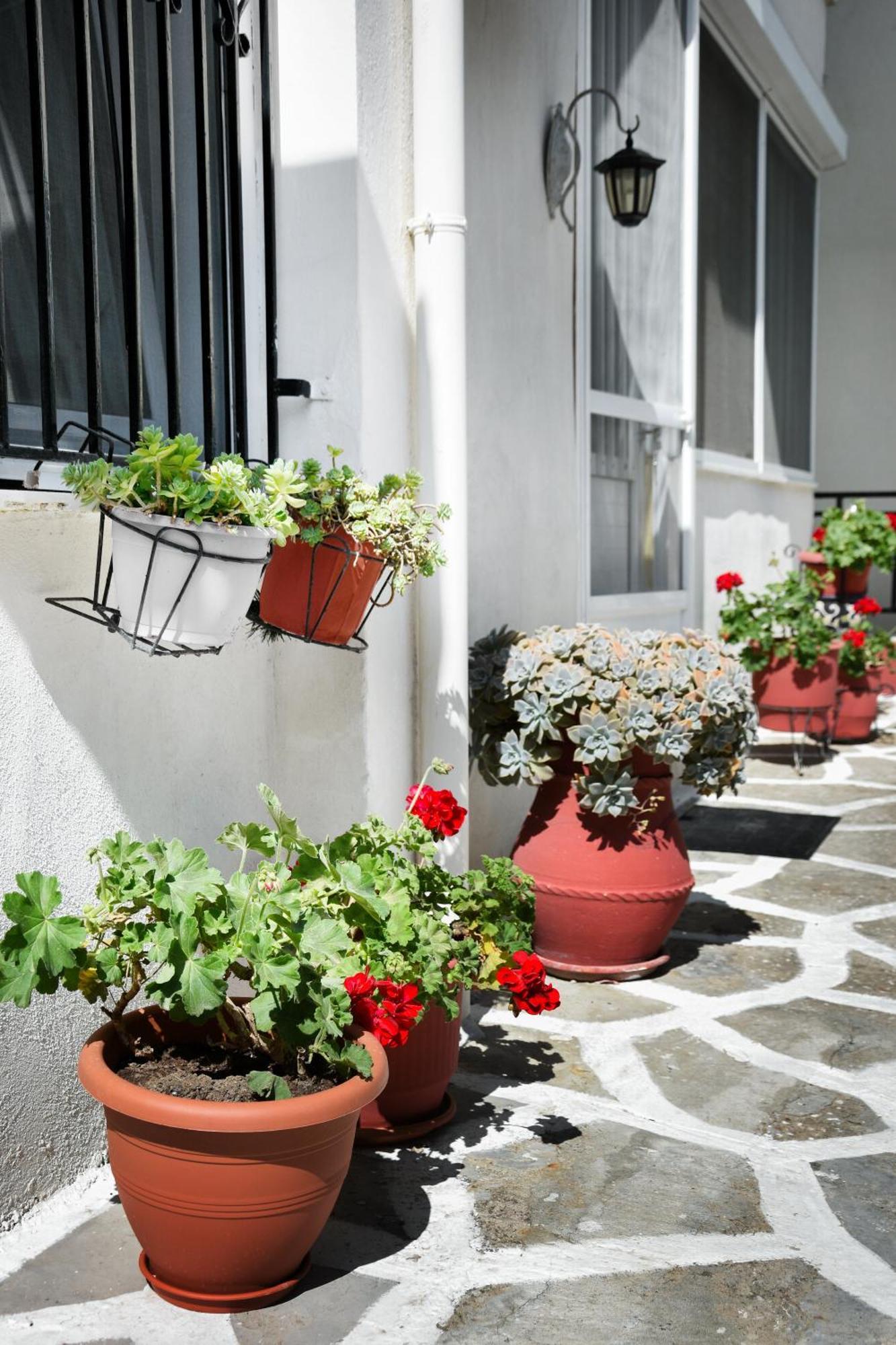 Rent House Daphne Appartement Kavala Buitenkant foto